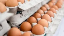 настоящето миналото