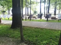 Пухнасті Лапки - центр допомоги тваринам допомоги