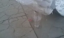 Білий павич із пластикових р клас клас