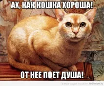 Кішка – дорогоцінний подарунок фараонів! подарунок