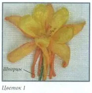 Аквілегія. Вишивка стрічками квітів квітів