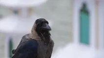 бізнес