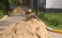 обложки