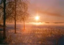 хване Роман Солнцев