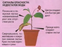 знаете трябва
