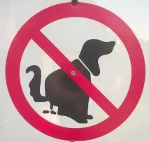 плюсове минуси