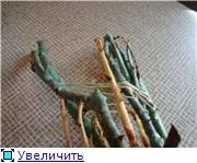 Квітуча Дача - Плетисті троянди квітуча
