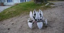 робот hexapod