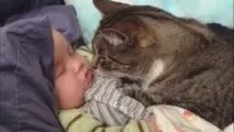котки деца