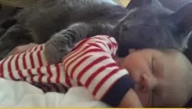 деца котки