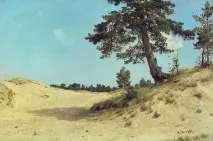 като търговец дъбописец