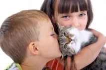 приятелство котки