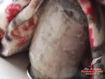 Домашня тушонка з курки банки