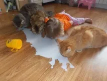 деца приятелство