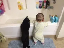 котки котки