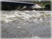 прогулянка
