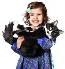котки котки
