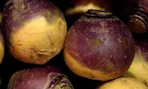 градината градината