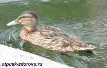 парк