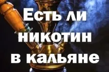 Чи є нікотин у кальяні скільки, тютюні, суміш, вплив нікотин