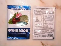 Еустома - особливості посадки, догляду та вирощування догляду