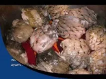 Фарширована риба риба