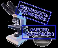 медени гъби медени