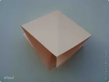Жоржини, Країна Майстрів країна