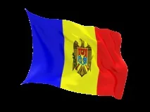 бизнес разработка