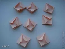 Жоржини, Країна Майстрів жоржини
