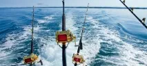 Де в Адлері можна ловити рибу можна