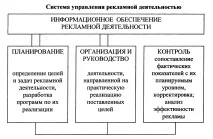 організація