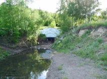туїмський