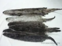 Річкова видра дуже