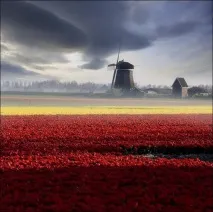 Різнокольорові поля - ОКО ПЛАНЕТИ інформаційно-аналітичний портал планети