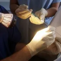 осеменяване изкуствено