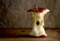 история скучна