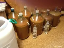 Hydrolock – водяний затвор для бродіння водяний