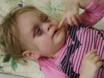 двугодишната история
