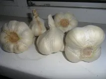 видове