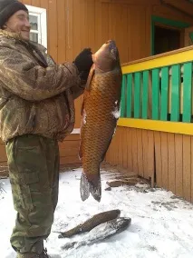 іркутські