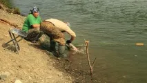 подготвя камчатка