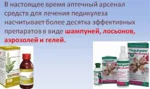 Як позбутися вошей назавжди в домашніх умовах за 1 день народними засобами вошей