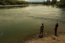 тихоокеанска камчатка