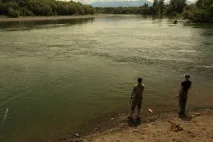 риба риба