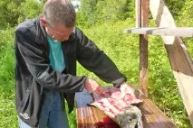 норвежката замени