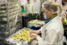 Як і де готують їжу, яку подають пасажирам літаків Україна Цінності готують