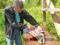 замени риба