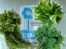 тиквички зимата