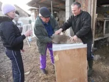 Як робити вакцинацію та щеплення кроликам у домашніх умовах у якому віці і чи можна вагітним вакцинацію